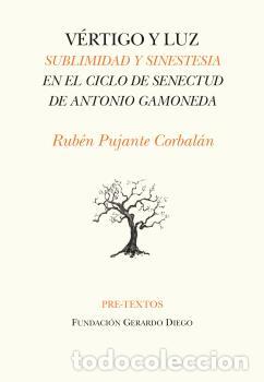Libros: V&Eacute;RTIGO Y LUZ - PUJANTE CORBALAN, RUBEN, - Foto 1