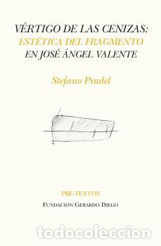 Libros: V&Eacute;RTIGO DE LAS CENIZAS - PRADEL, STEFANO - Foto 1