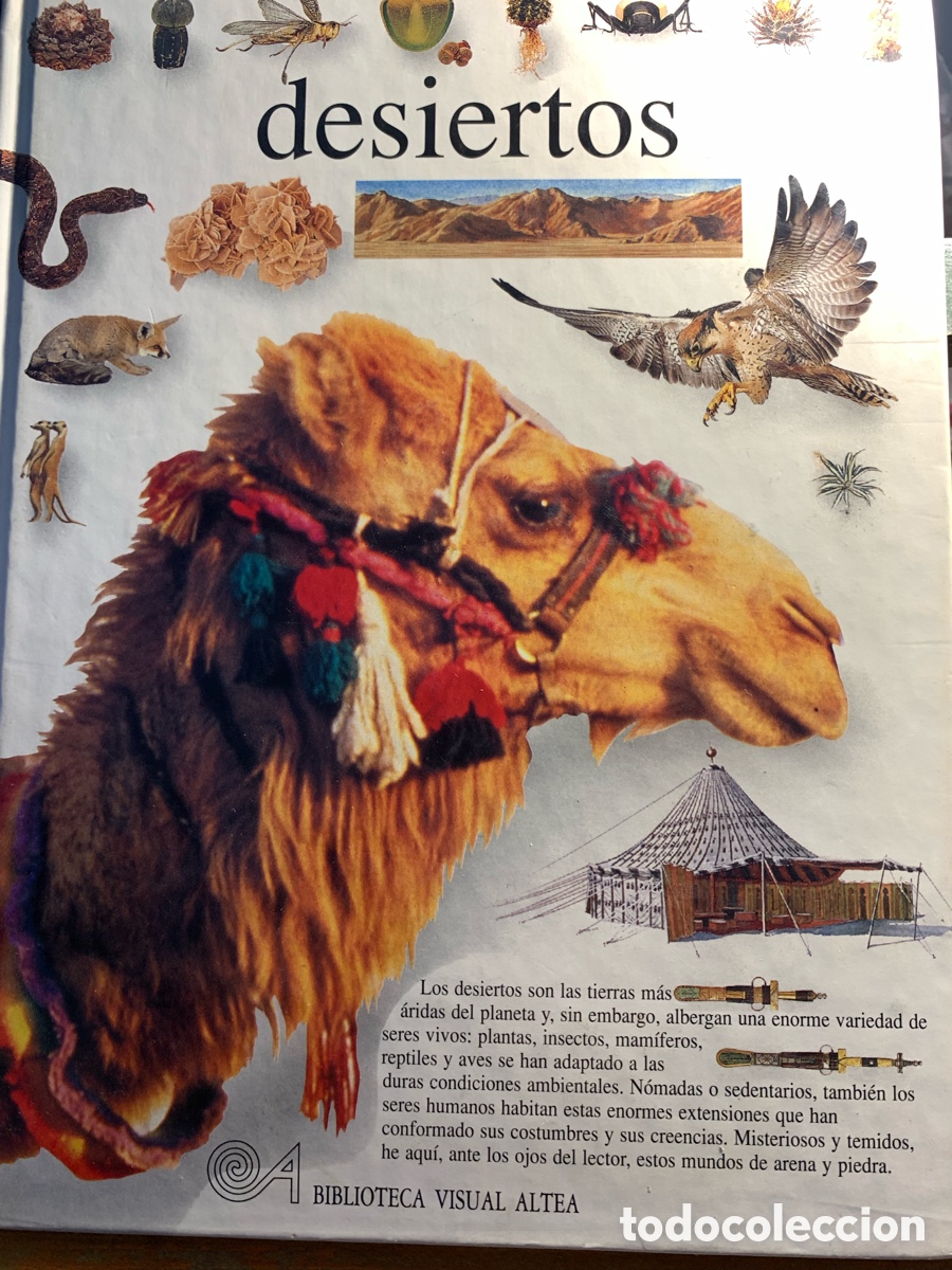 Desiertos biblioteca visual Altea