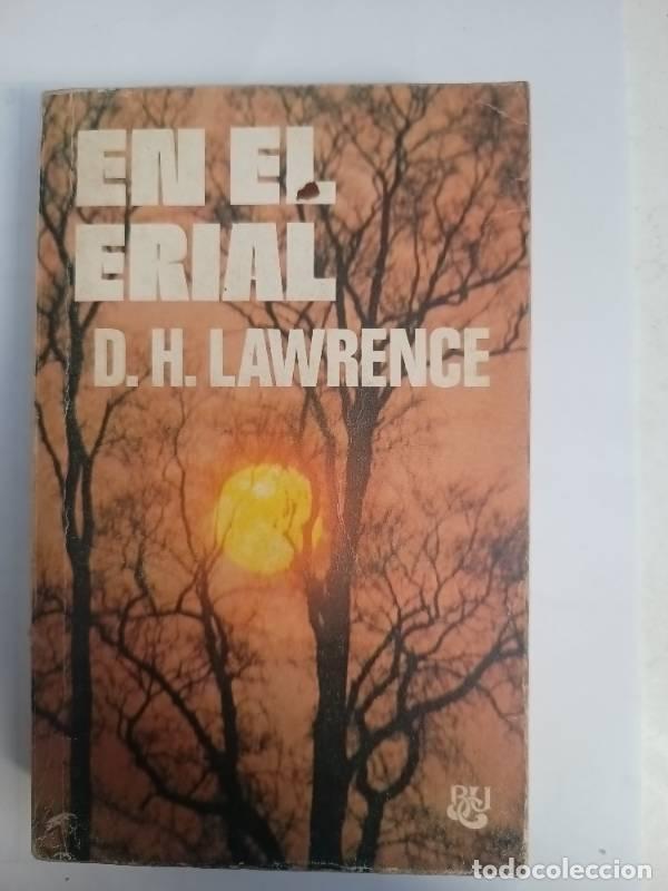 Libros: En el erial - D.H. Lawrence - Foto 1