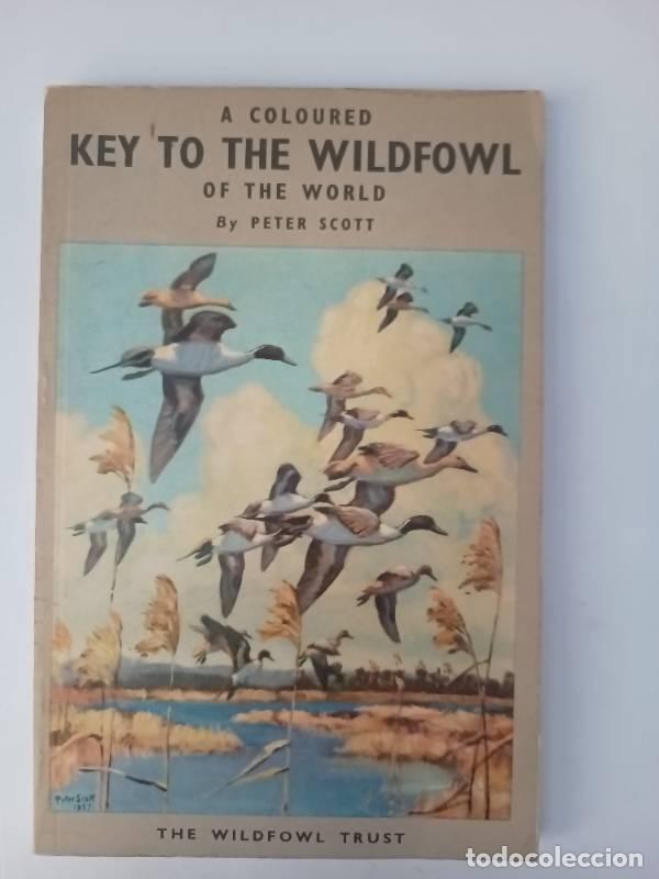 Libros: A coloured Key to the wildfowl - Peter Scott