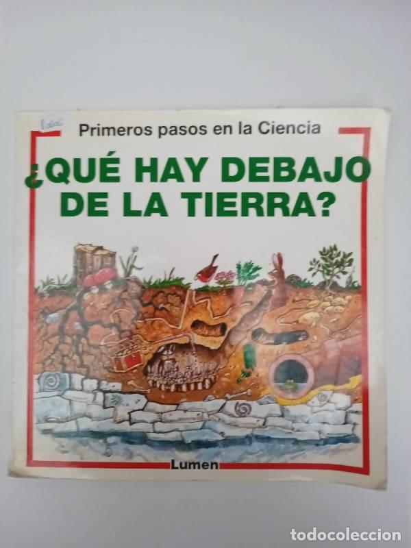 Libros: Que Hay Debajo de la Tierra? - Susan Mayes - Foto 1