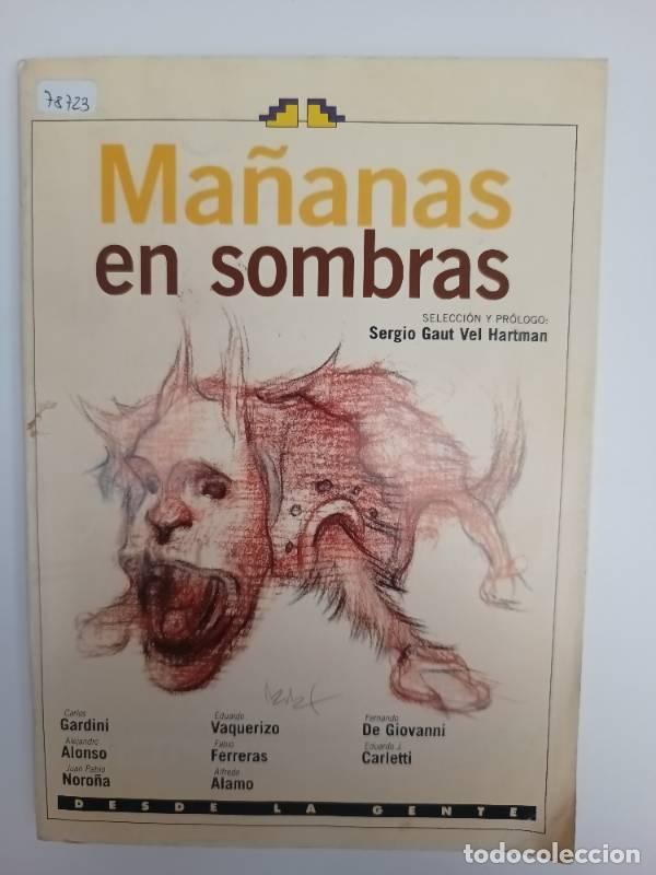 Libros: Ma&ntilde;anas en sombras - Sergio Gaut vel Hartman - Foto 1