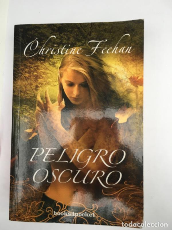 Libros: Peligro oscuro - Christine Feehan - Foto 1