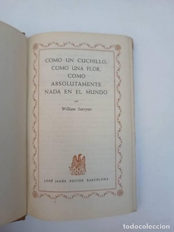Libros: Como un cuchillo, como una flor - William Saroyan - Foto 1