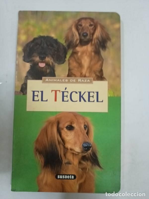 Libros: El T&eacute;ckel - Marie-Luce Hubert y Jean-Louis Klein - Foto 1