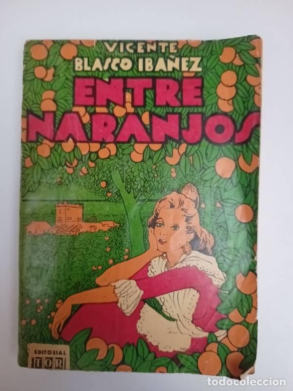 Libros: Entre naranjos - Vicente Blasco Iba&ntilde;ez - Foto 1