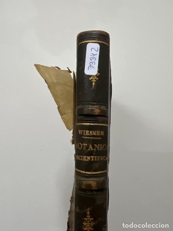 Libros: Botanica scientifica III - Wiesner - Foto 1