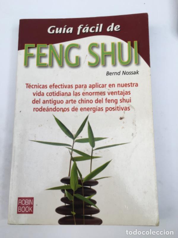 books: Gu&iacute;a f&aacute;cil de feng shui - Bernd Nossak