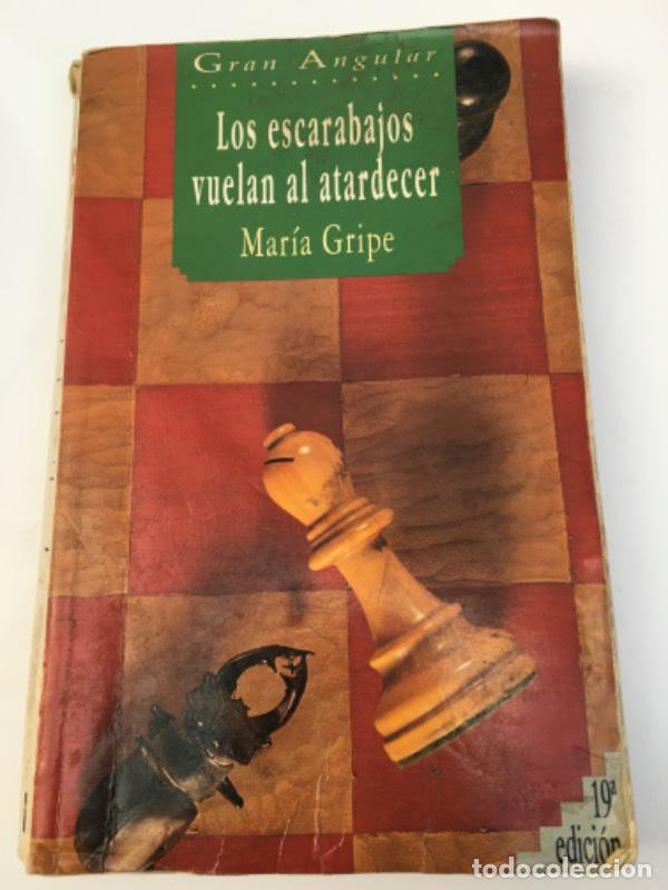 Libros: Los escarabajos vuelan al atardecer (Gran Angular) - Maria Gripe - Foto 1