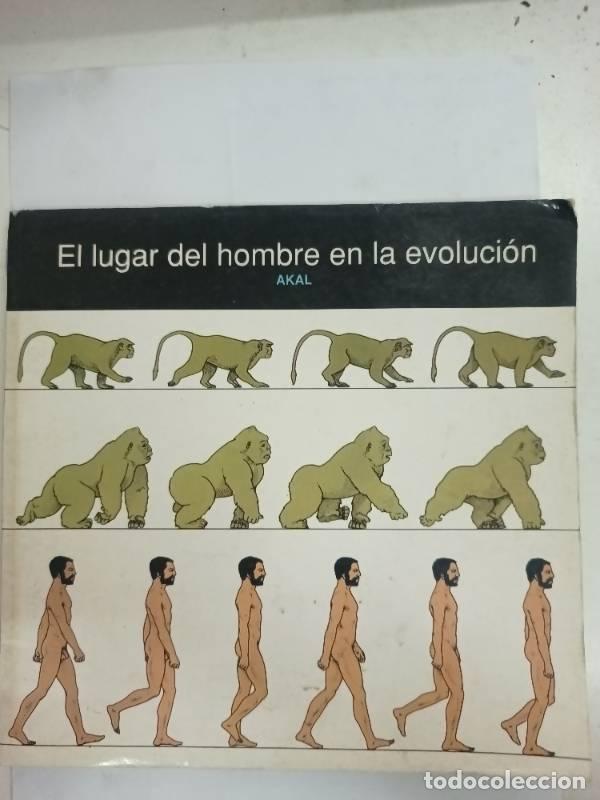 Libros: Lunes azules - Grunberg, Arnon - Foto 1