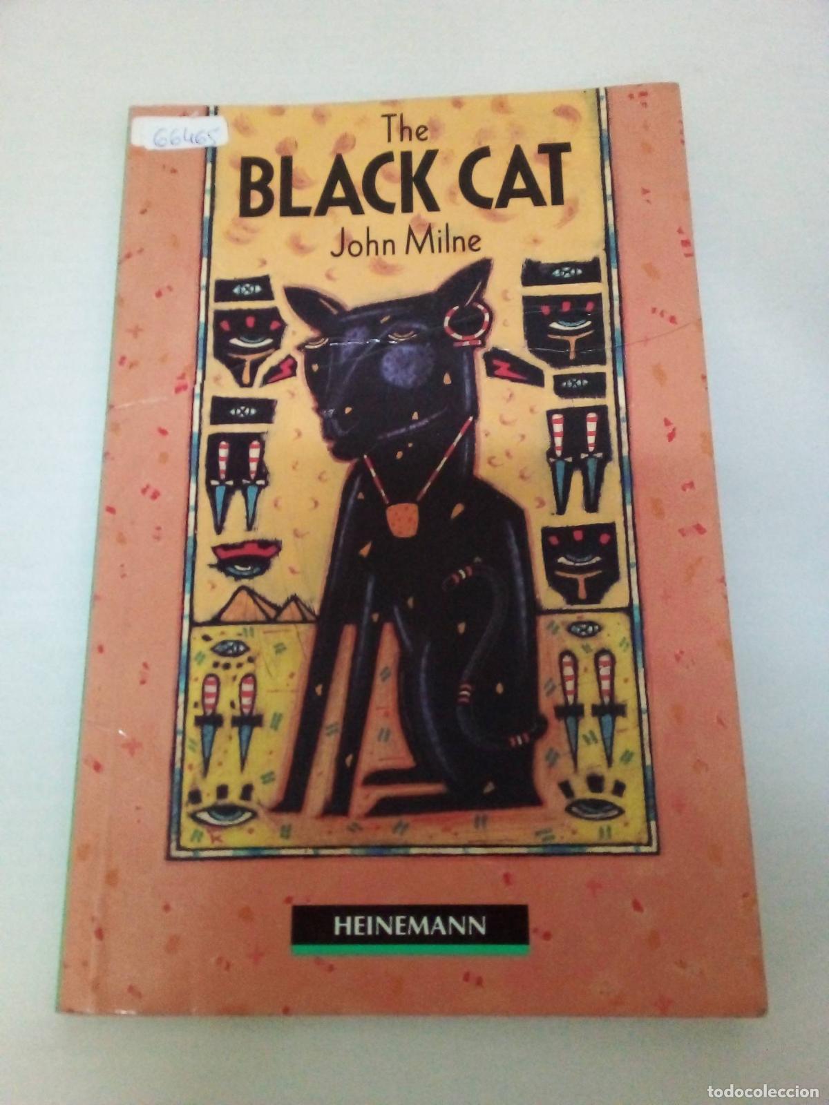 Libros: The black cat - John Milne - Foto 1