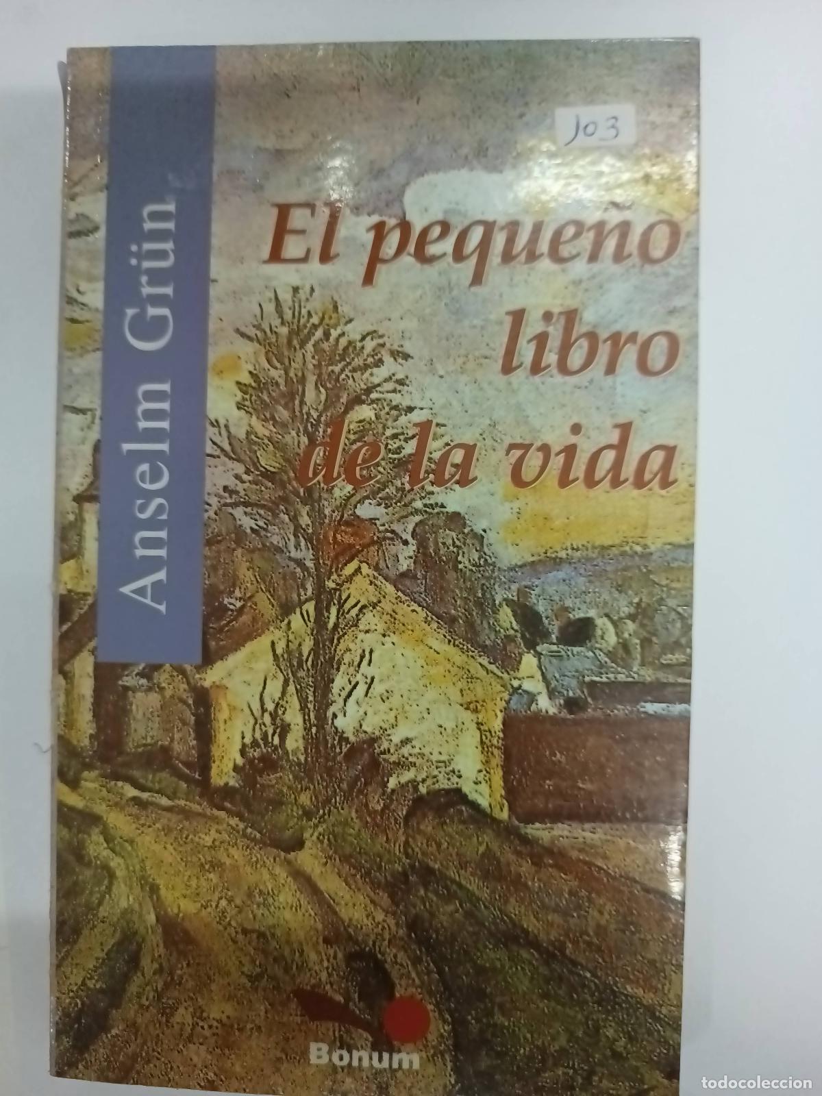 B&uuml;cher: El pequeno libro de la vida / The little book of life (Itinerarios) - Anselm Grun