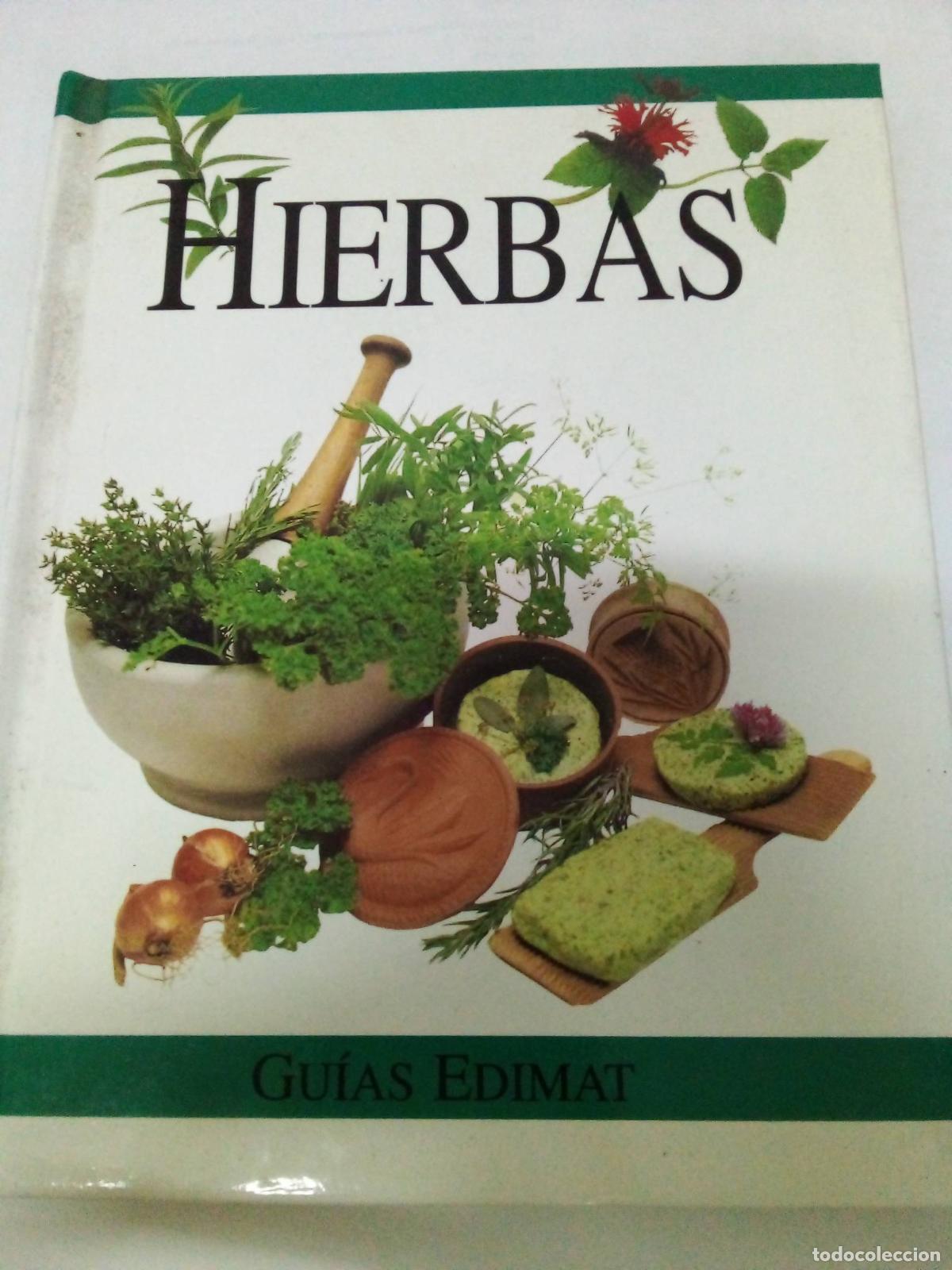 Libros: Hierbas - Rebecca Kingsley - Foto 1