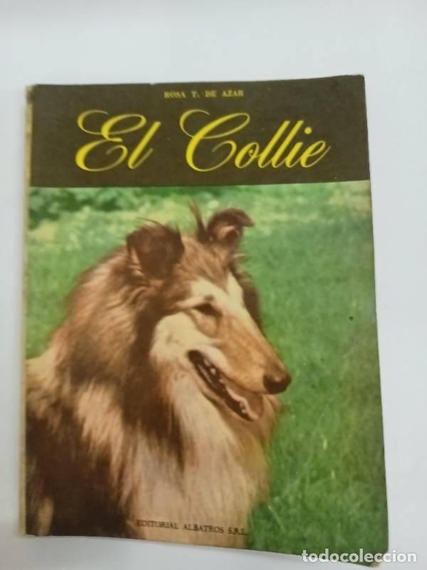 Libros: El collie - Rosa T. de azar - Foto 1