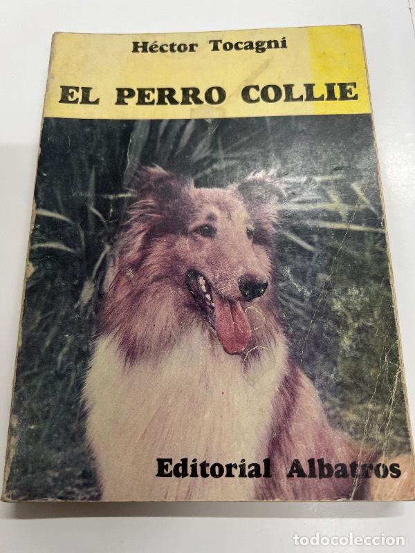 Libros: El perro collie - Hector Tocagni - Foto 1