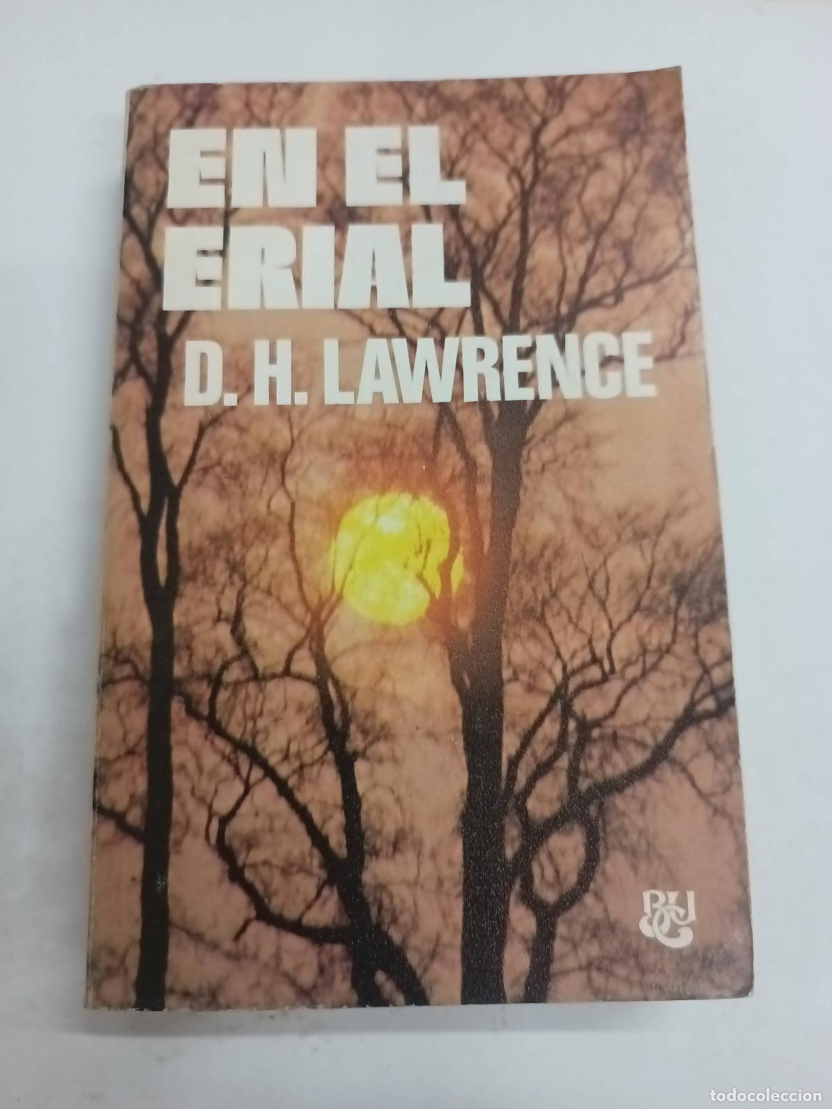 Libros: En el erial - D.H. Lawrence - Foto 1