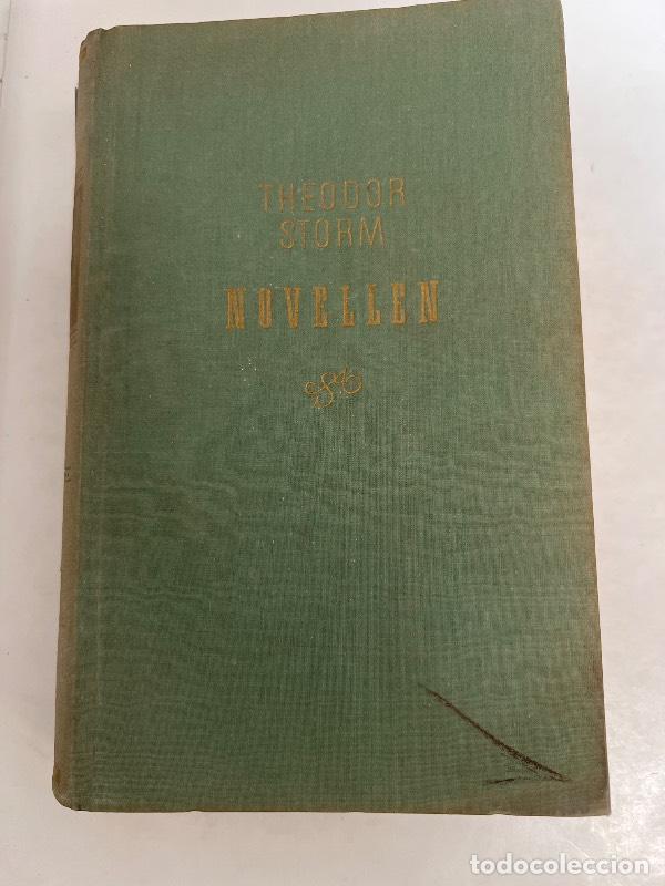 Libros: Die schonsten novellen - Theodor storm