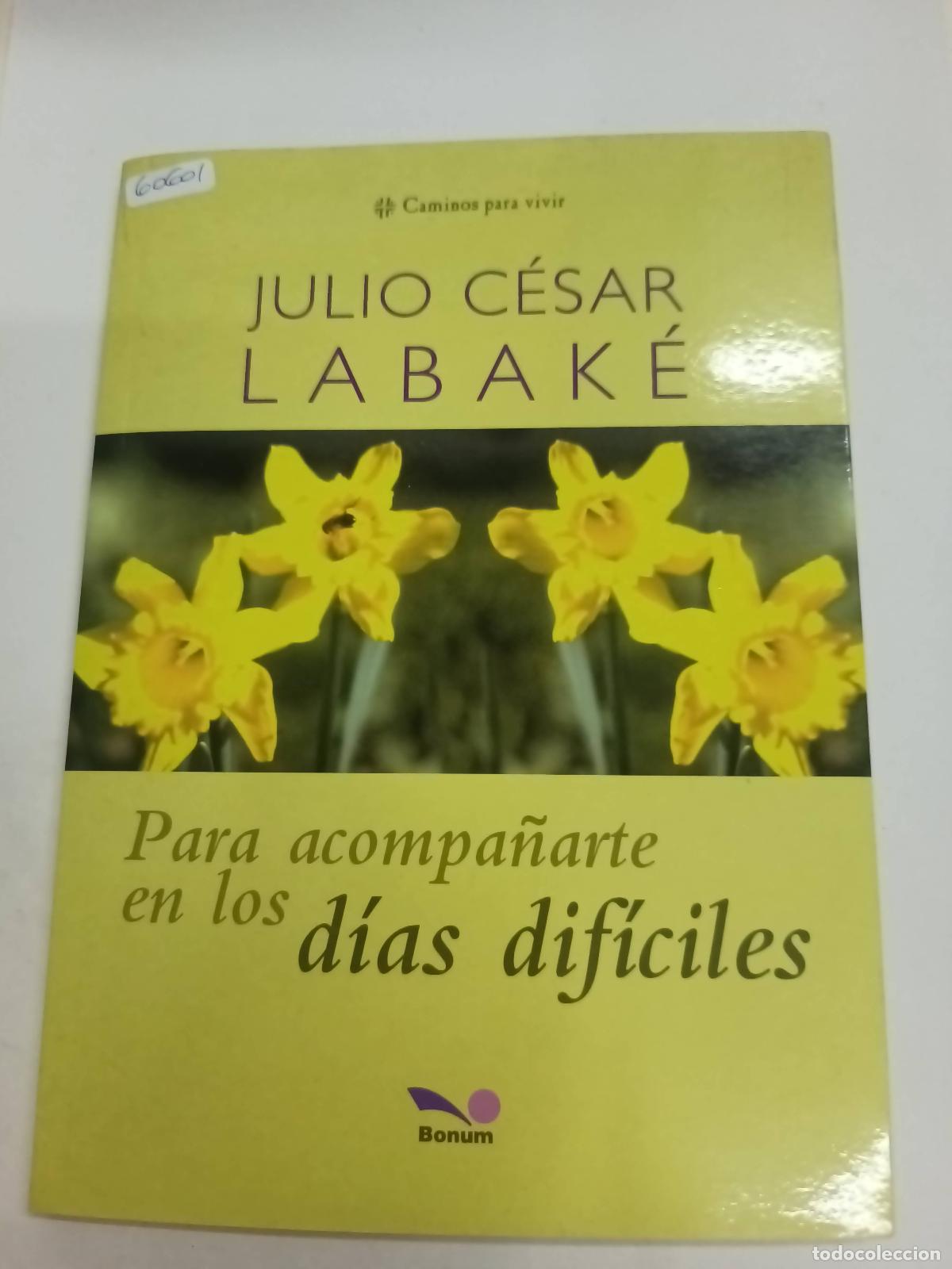 Libros: Para Acompa&ntilde;arte En Los Momentos Dificiles - Julio Cesar Labake - Foto 1