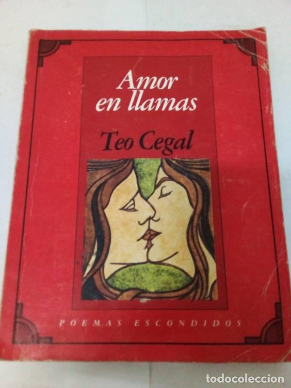 Libros: Amor en llamas - Teo Cegal - Foto 1