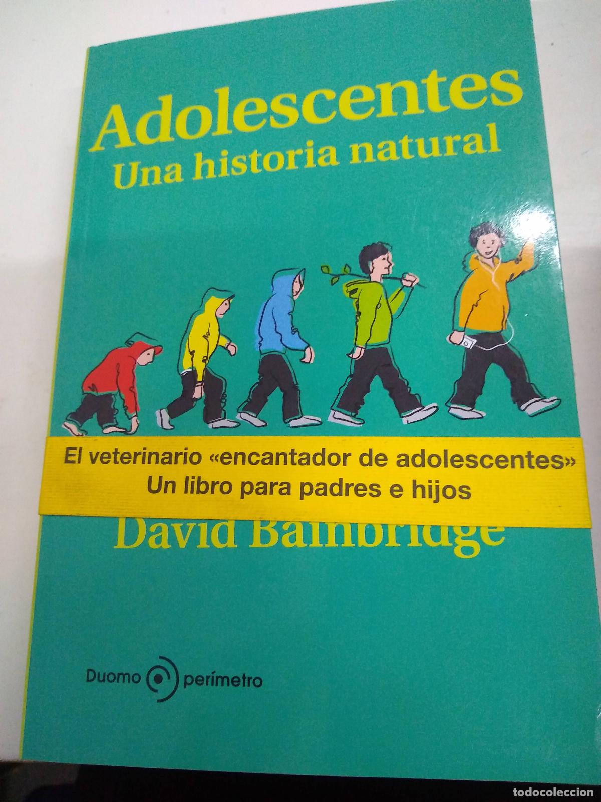 Libros: Adolescentes - David Bainbridge - Foto 1