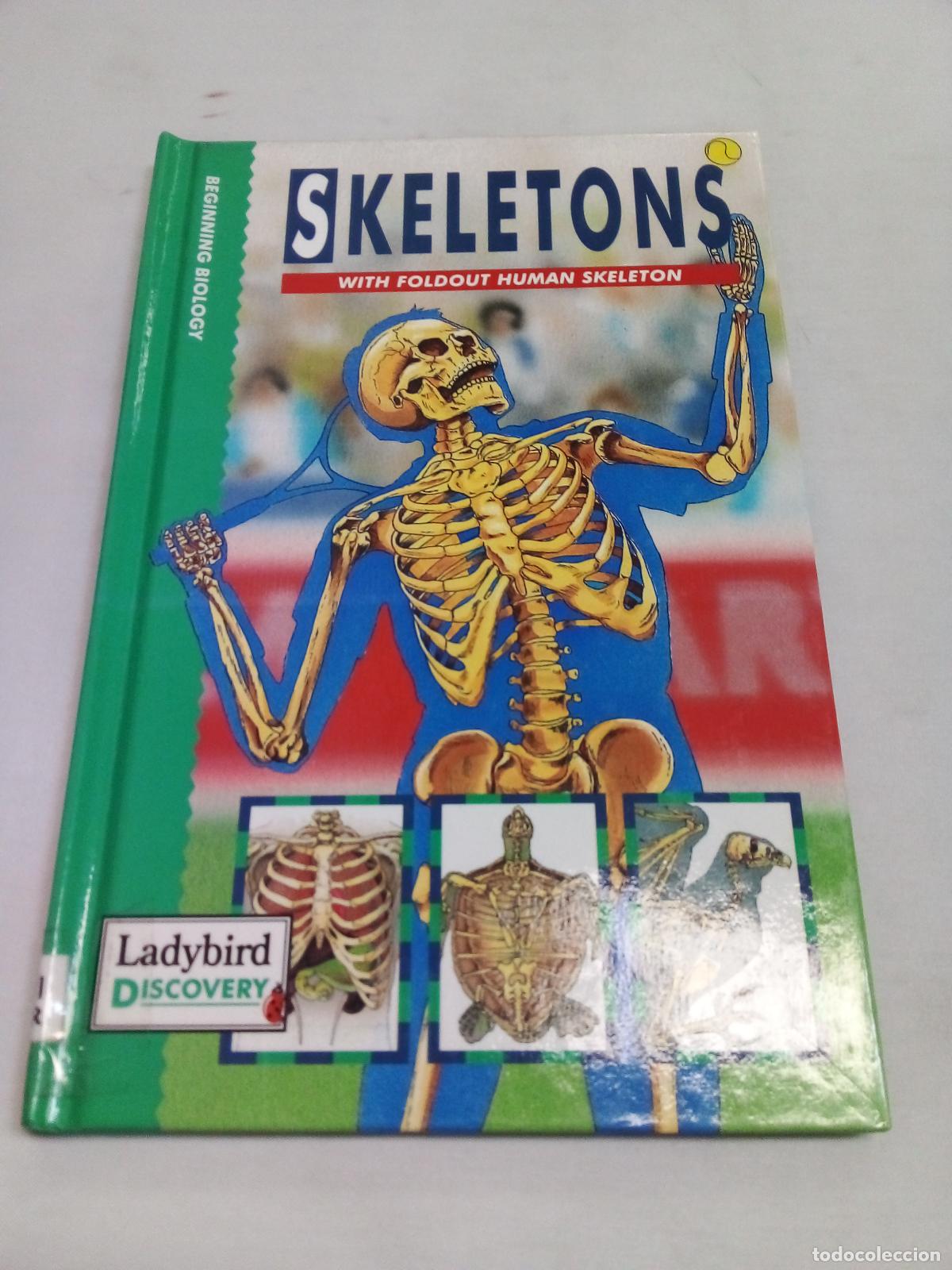 Libros: Skeletons (Discovery) - D. Harper - Foto 1