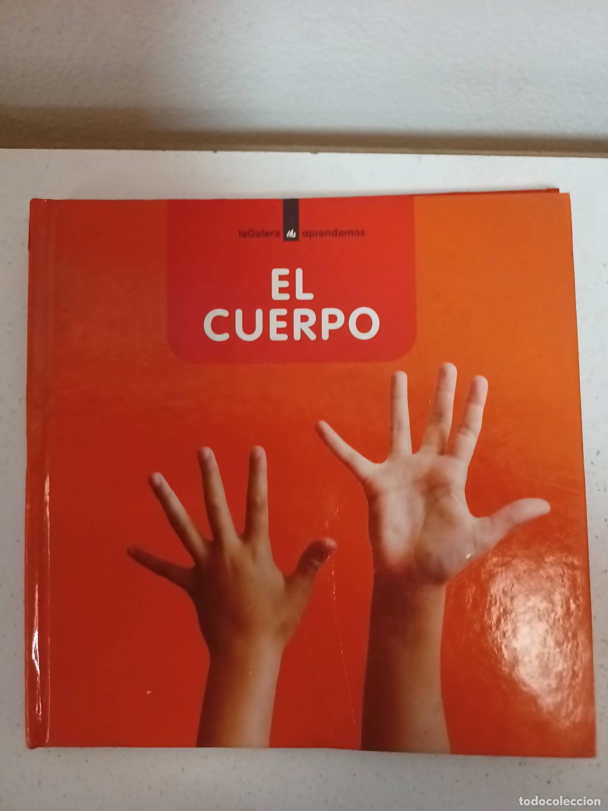 Libros: El cuerpo - Varios autores - Foto 1