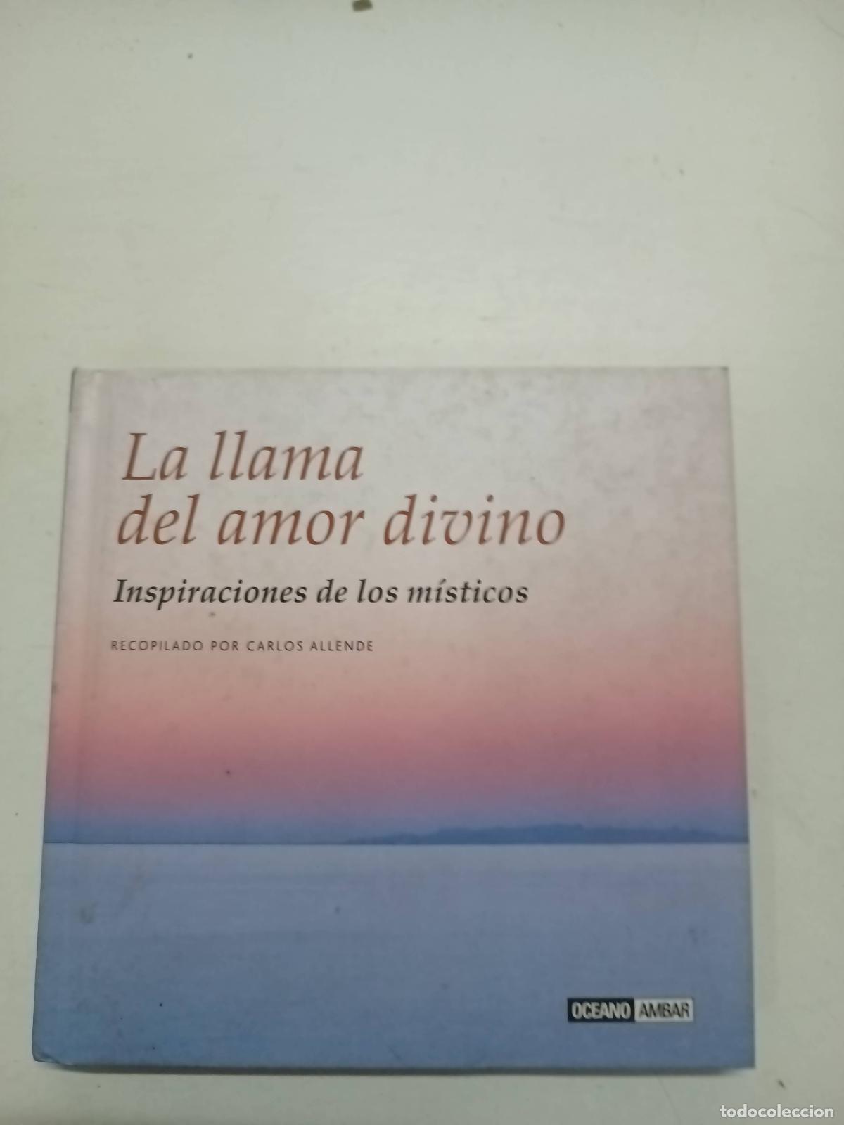 Libros: La Llama del Amor Divino - Carlos Allende - Foto 1
