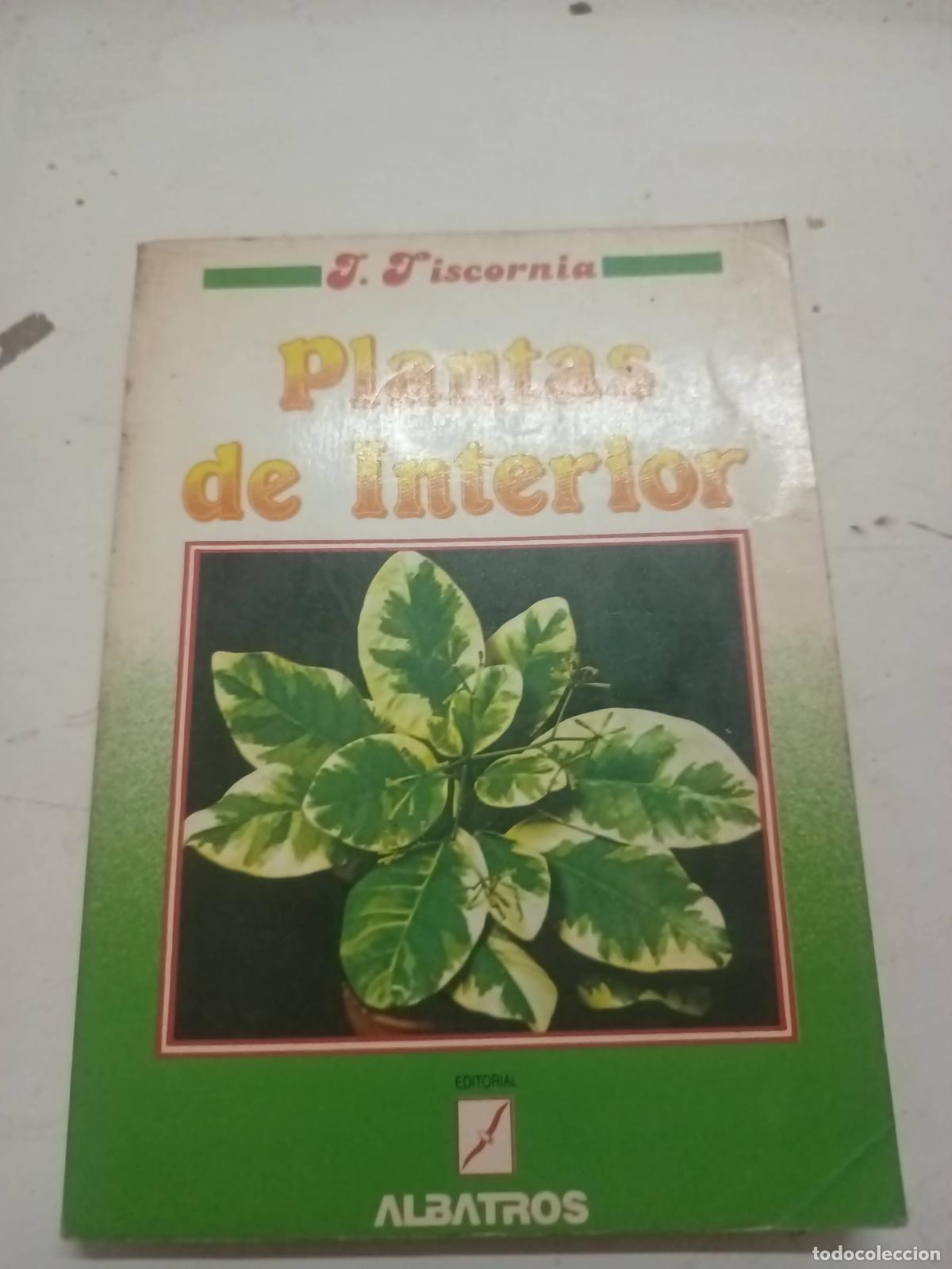 Libros: Plantas del interior - Julio Tiscornia - Foto 1