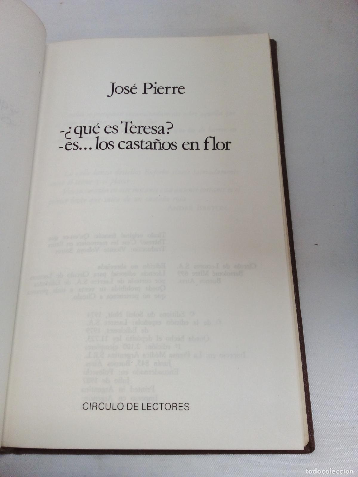 Libros: Qu&eacute; es Teresa - Jos&eacute; Pierre - Foto 1