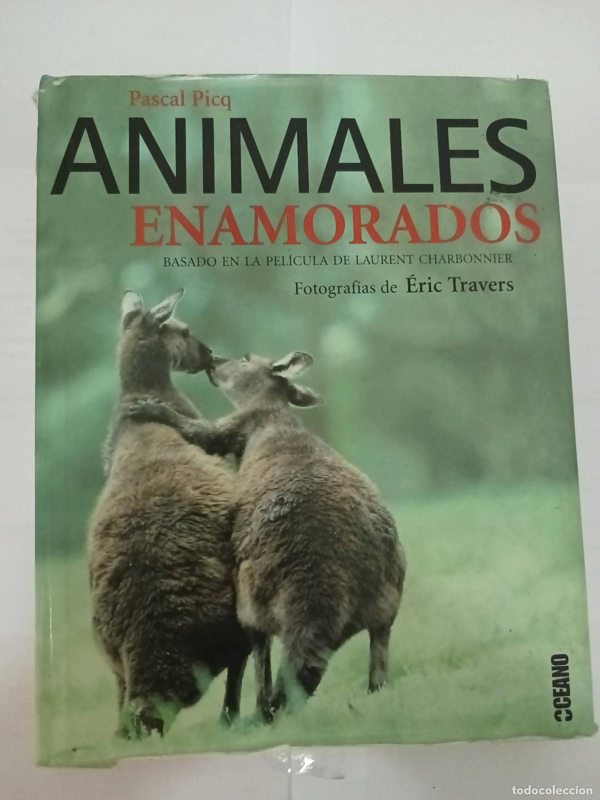Libros: Animales enamorados - Pascal Picq - Foto 1