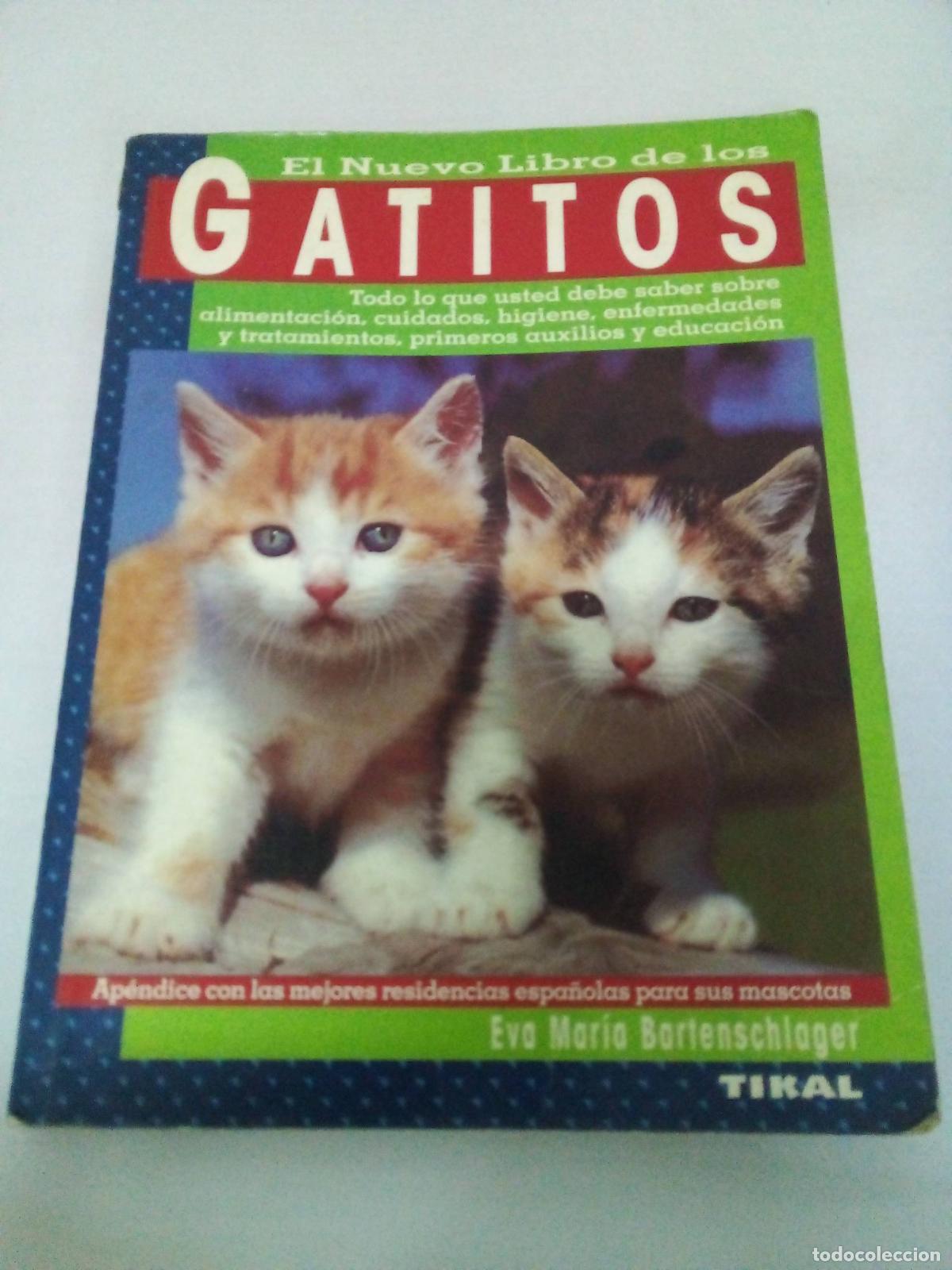 Libri di seconda mano: Gatitos - Eva Mar&iacute;a Bartenschlager