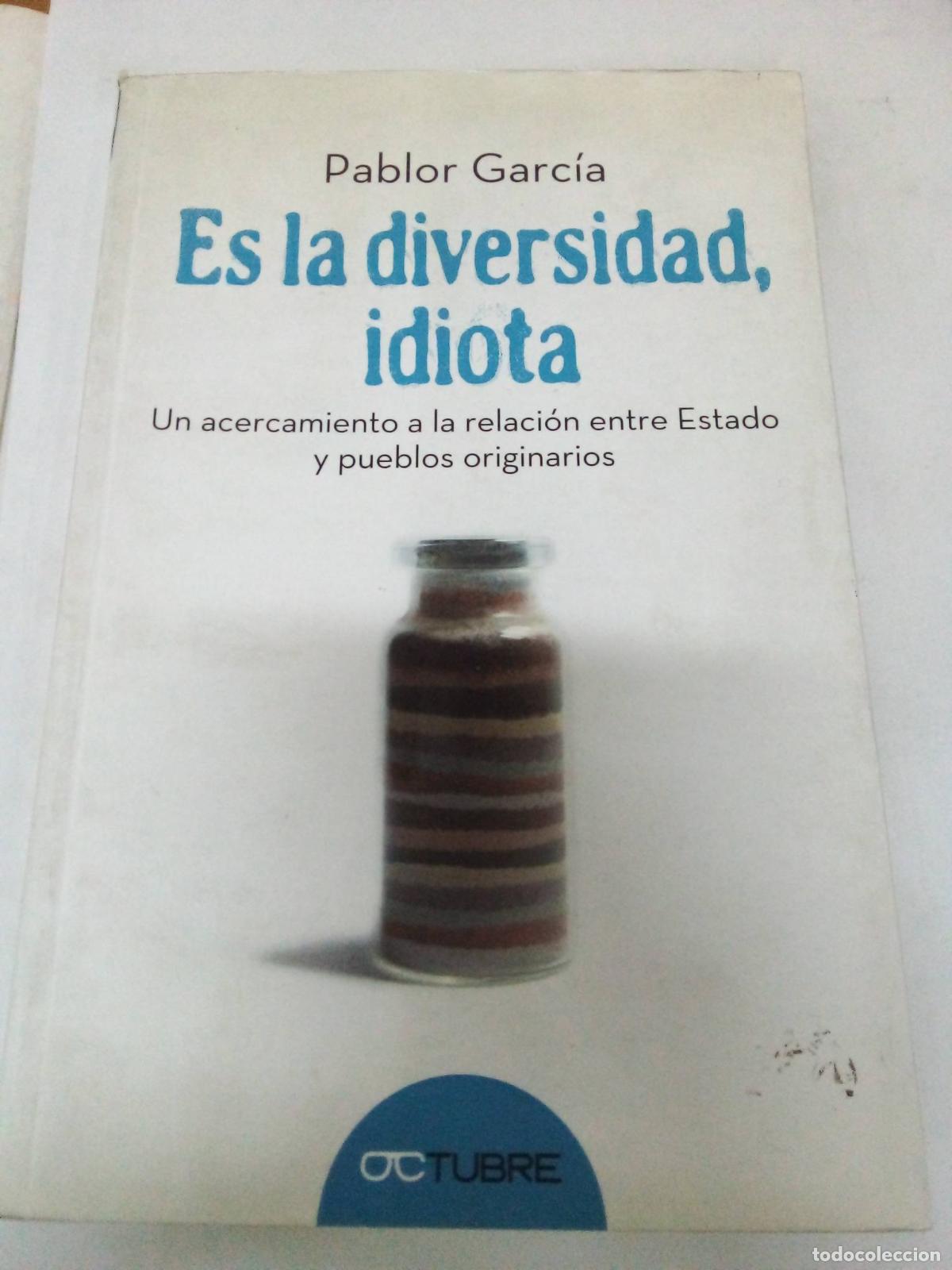 B&uuml;cher: Es La Diversidad Idiota : Un Acercamiento A La Relaci&oacute;n Entre Estado Y Pueblos Originarios - Pablo G