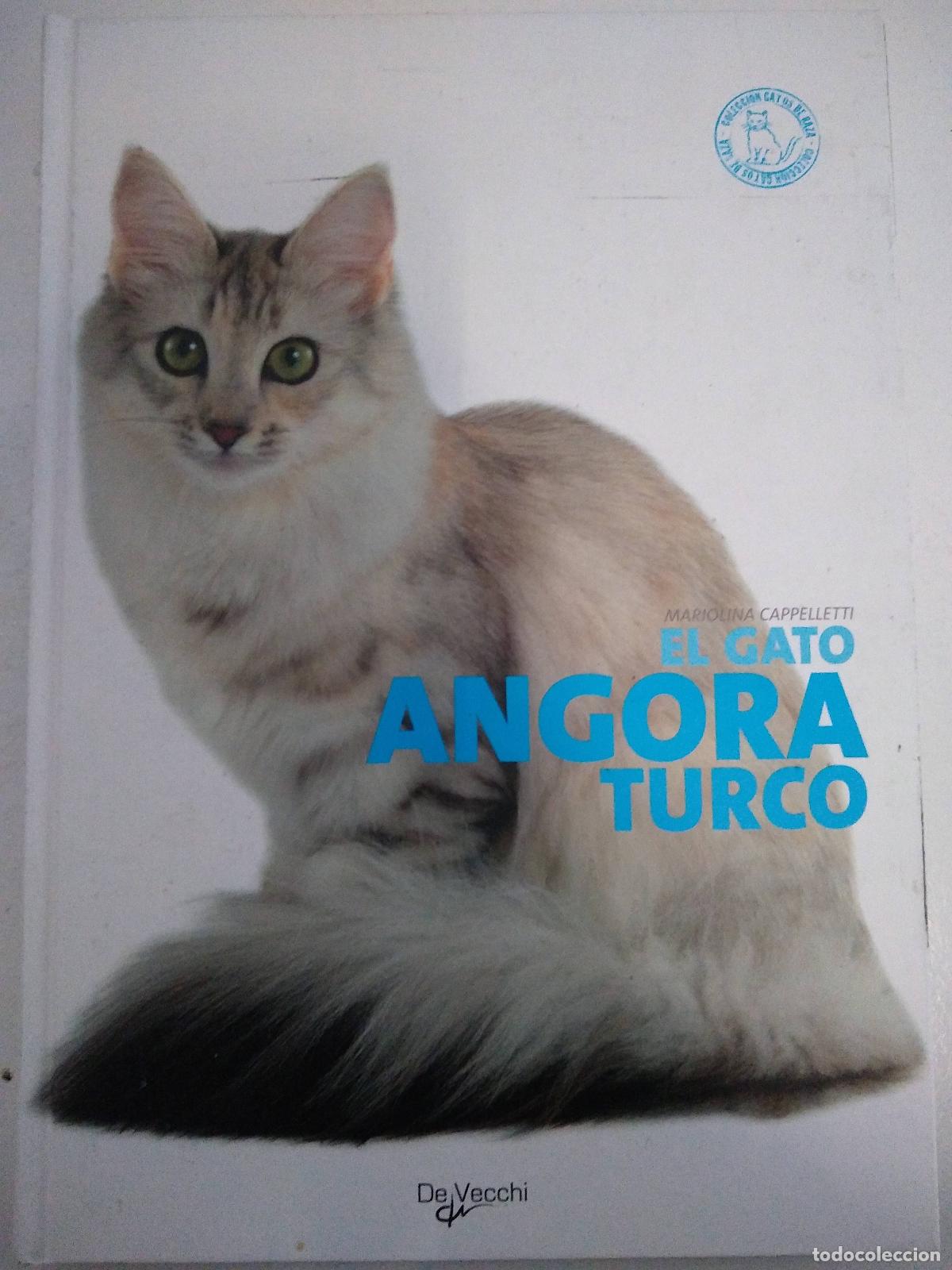 Libros: El Gato Angora Turco - Mariolina Cappelletti - Foto 1