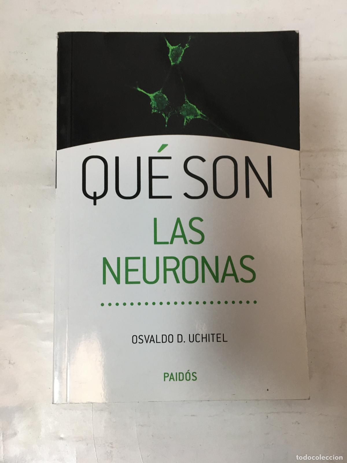 Libros: Qu&eacute; Son Las Neuronas - Osvaldo D. Uchitel - Foto 1
