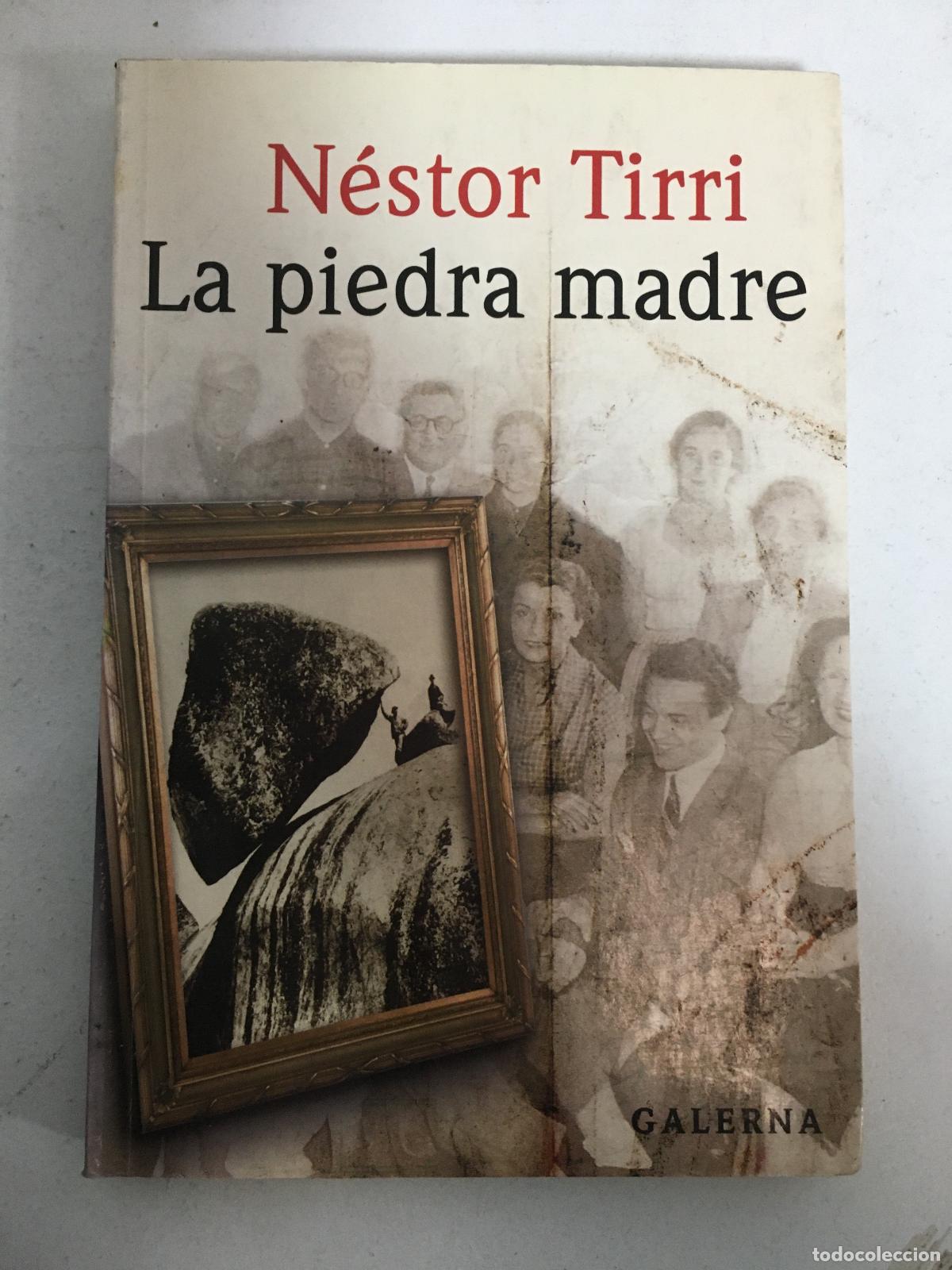 Libros: La piedra madre - Nestor Tirri - Foto 1