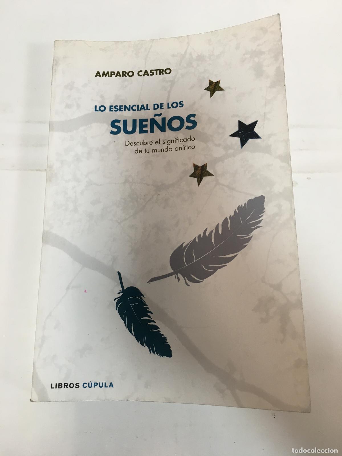 Libros: Lo esencial de los sue&ntilde;os - Amparo Castro - Foto 1
