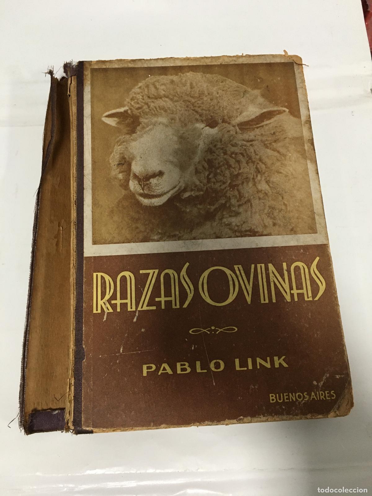 Libros: Razas Ovinas - Pablo link - Foto 1