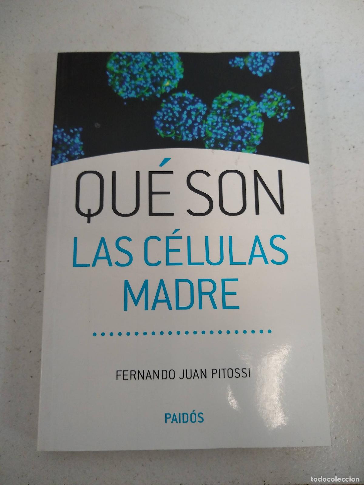 Libros: Que son las celulas madre - Fernando Juan Pitossi - Foto 1
