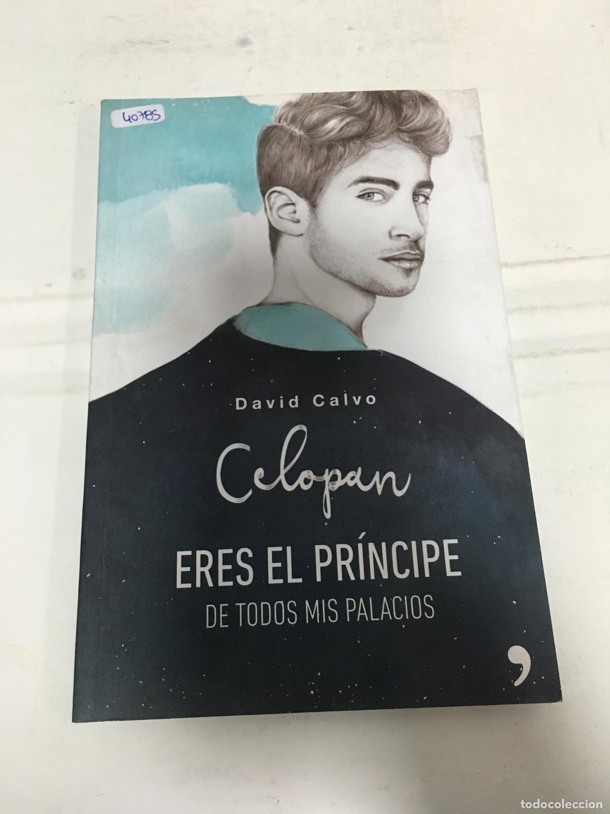 Libros: Eres El Principe De Todos Mis Palacios - David Calvo - Foto 1