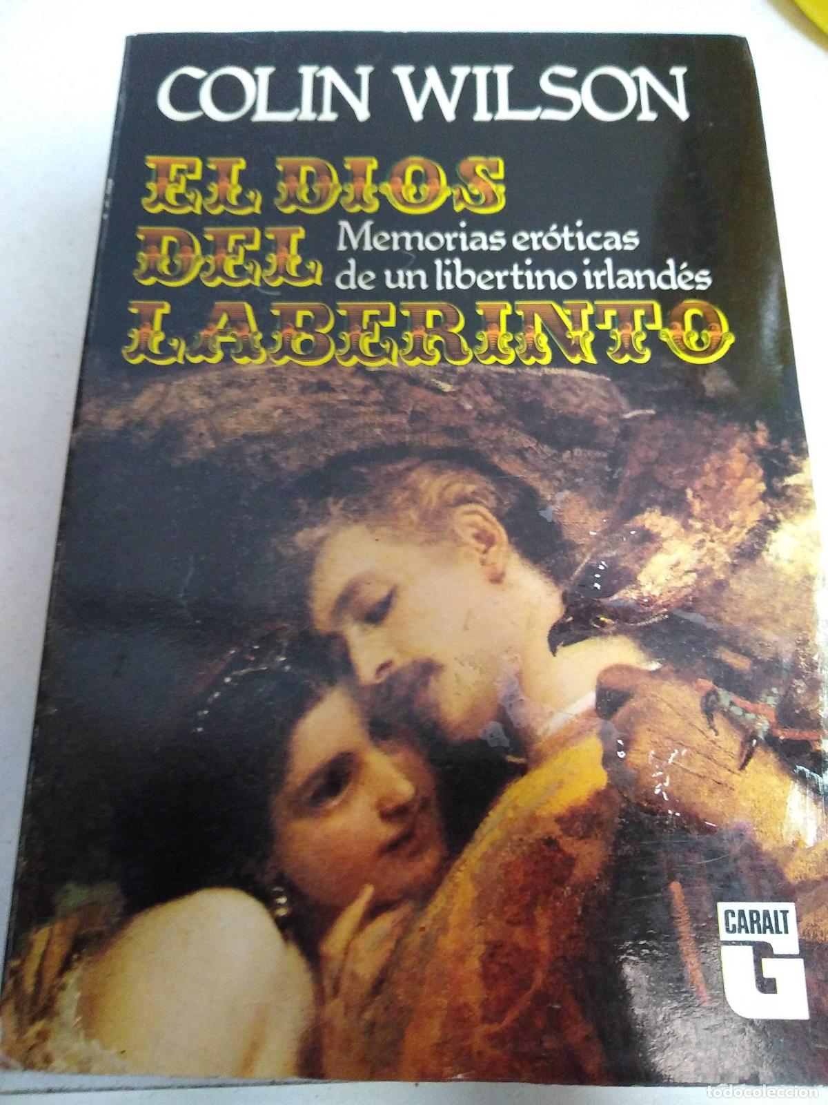 Libros: Huelga de ladrones - Dante Sierra - Foto 1