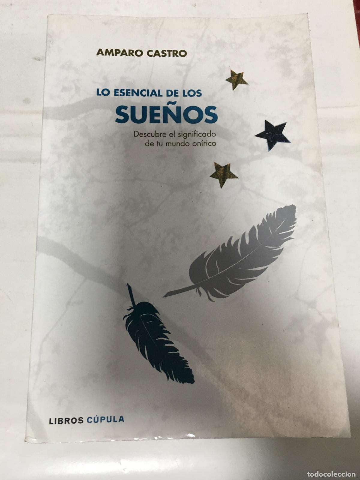 Libros: LO ESENCIAL DE LOS SUE&Ntilde;OS - AMPARO CASTRO - Foto 1