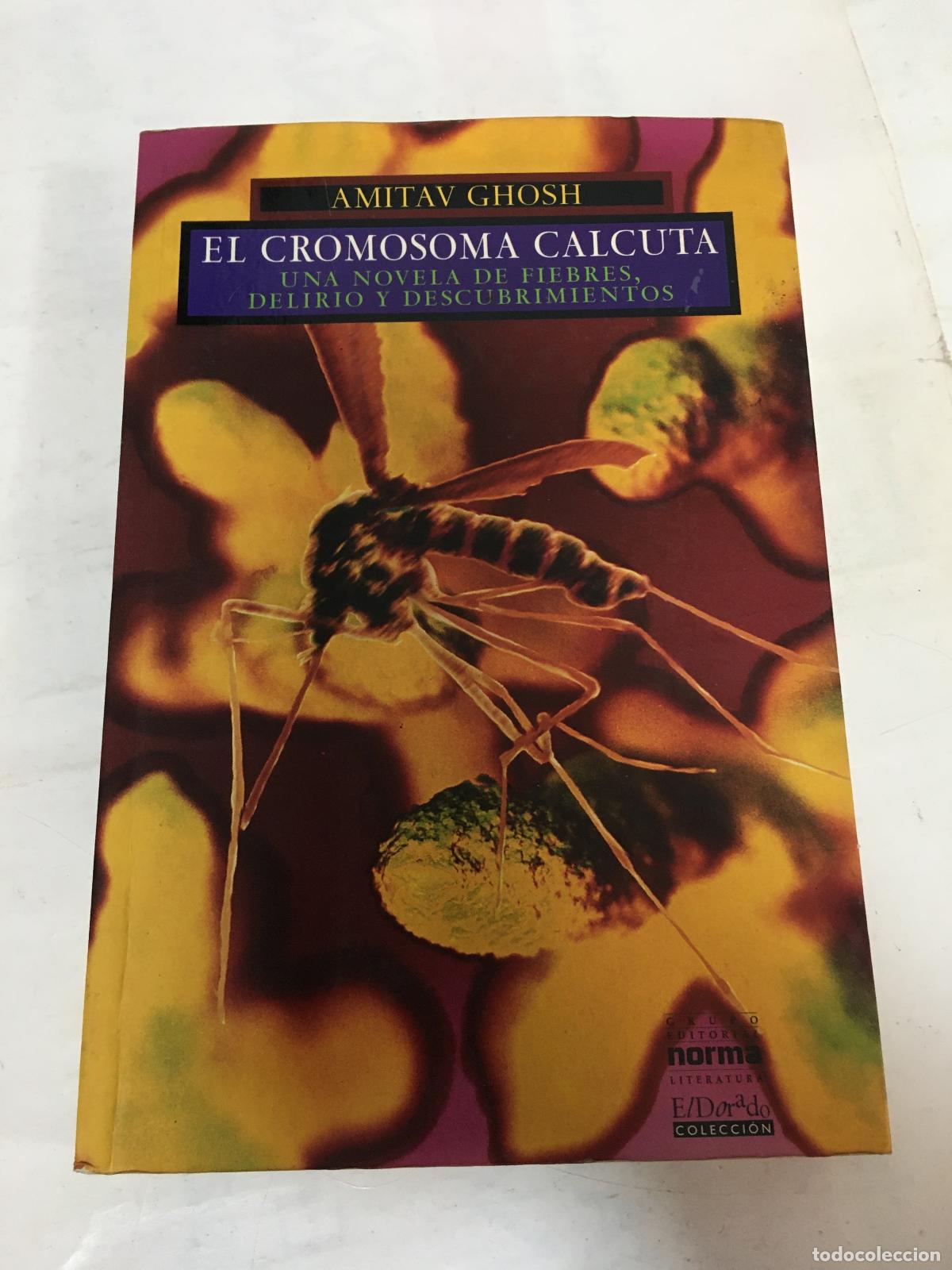 Libros: cromosoma calcuta - Ghosh - Foto 1