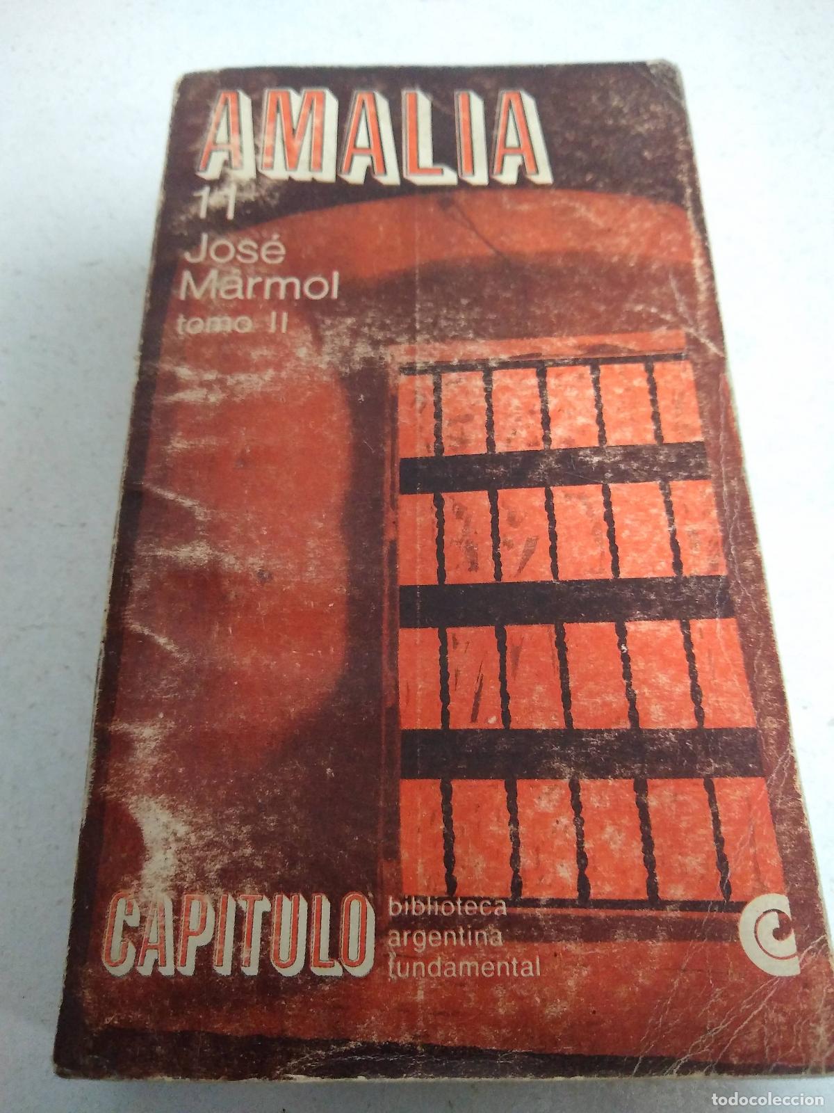 Libros: Amalia - Jose Marmol - Foto 1