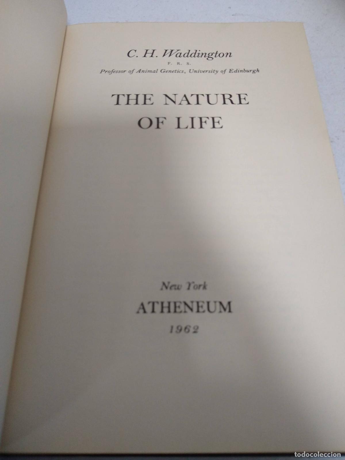 B&uuml;cher: The nature of life - C.H. Waddington