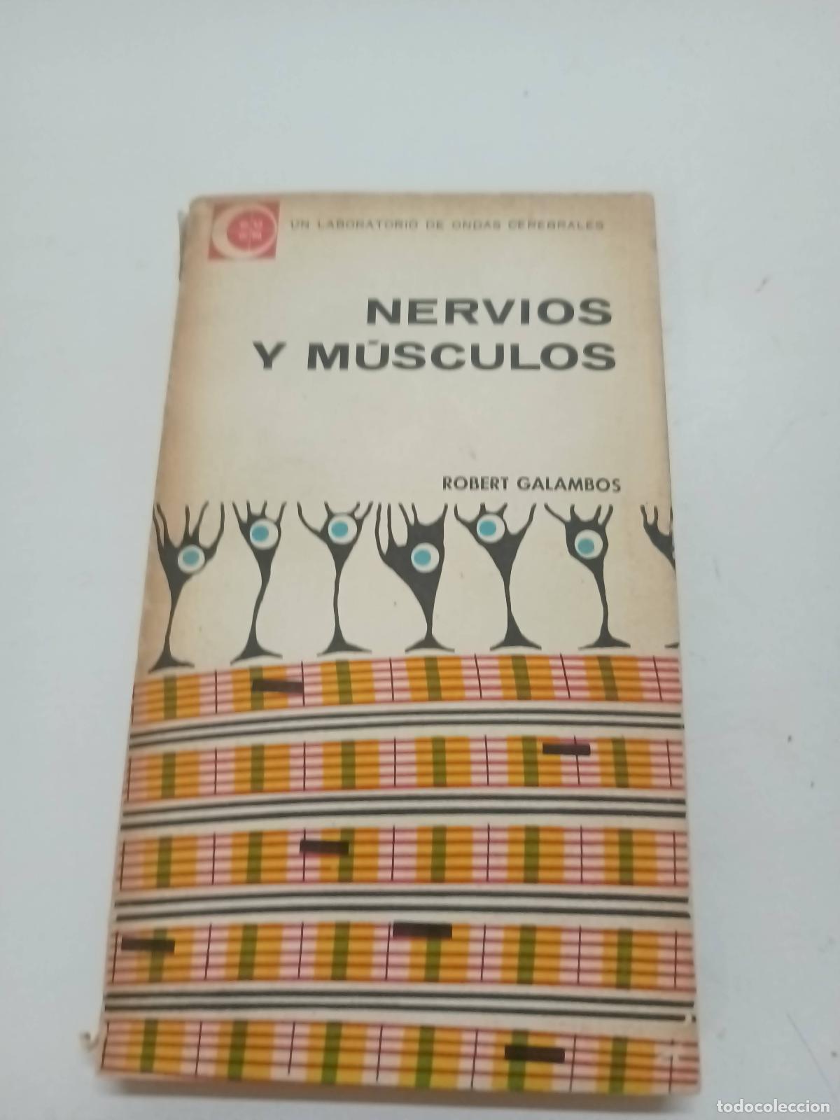 Libros: Nervios y musculos - Robert Galambos - Foto 1