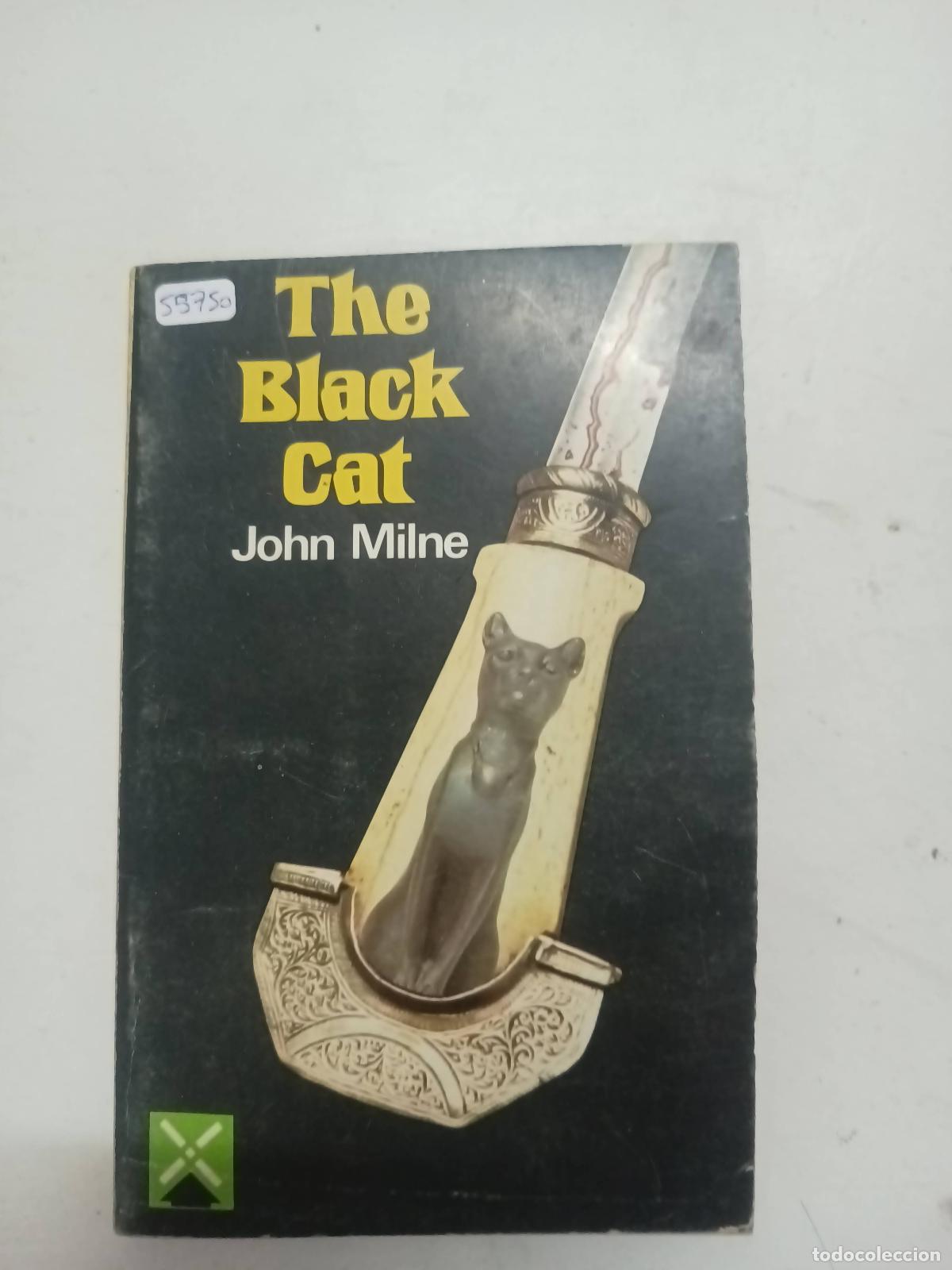 Libros: The black cat - John Milne - Foto 1