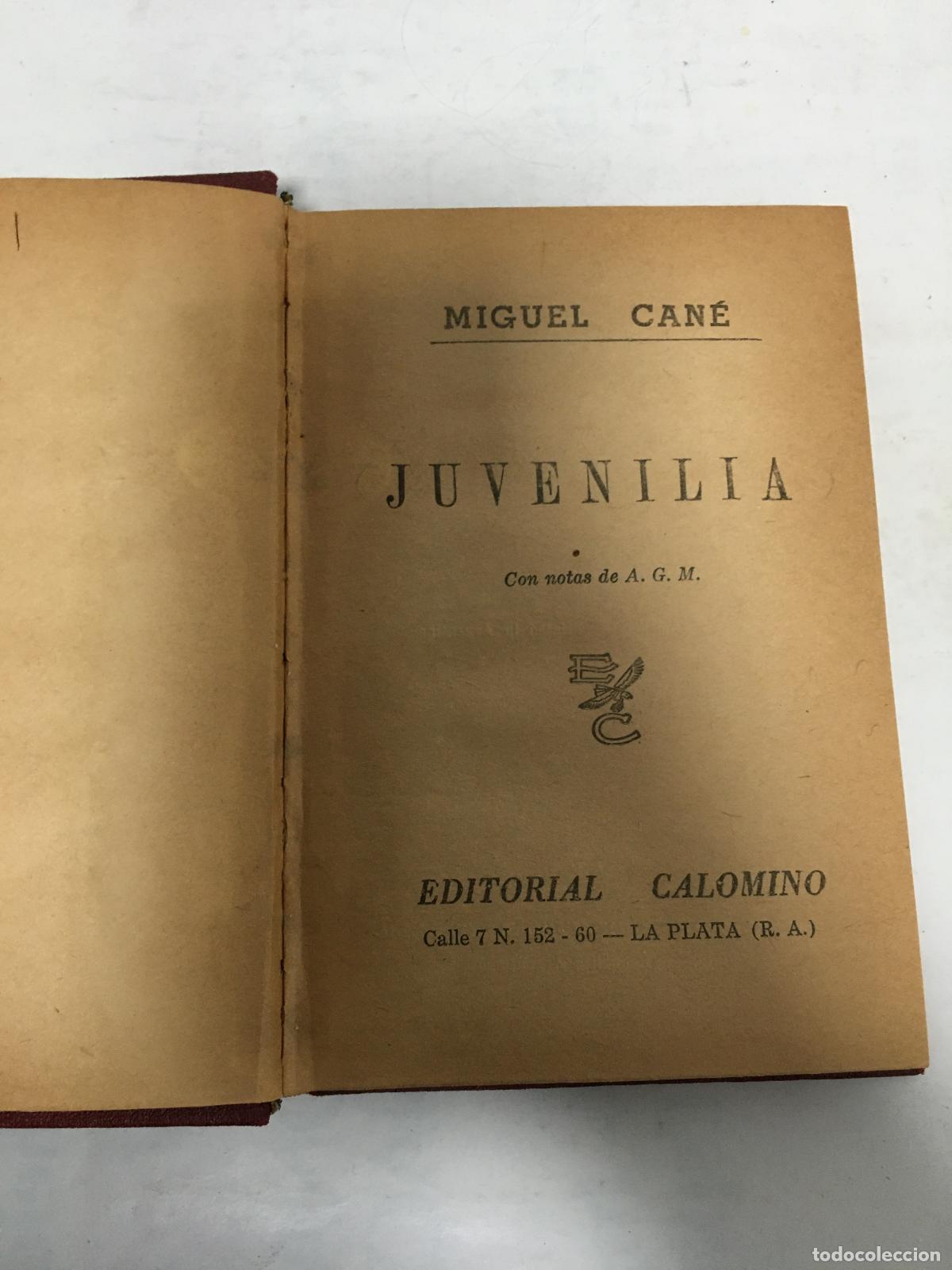 Libros: Juvenilia - Miguel Cane - Foto 1