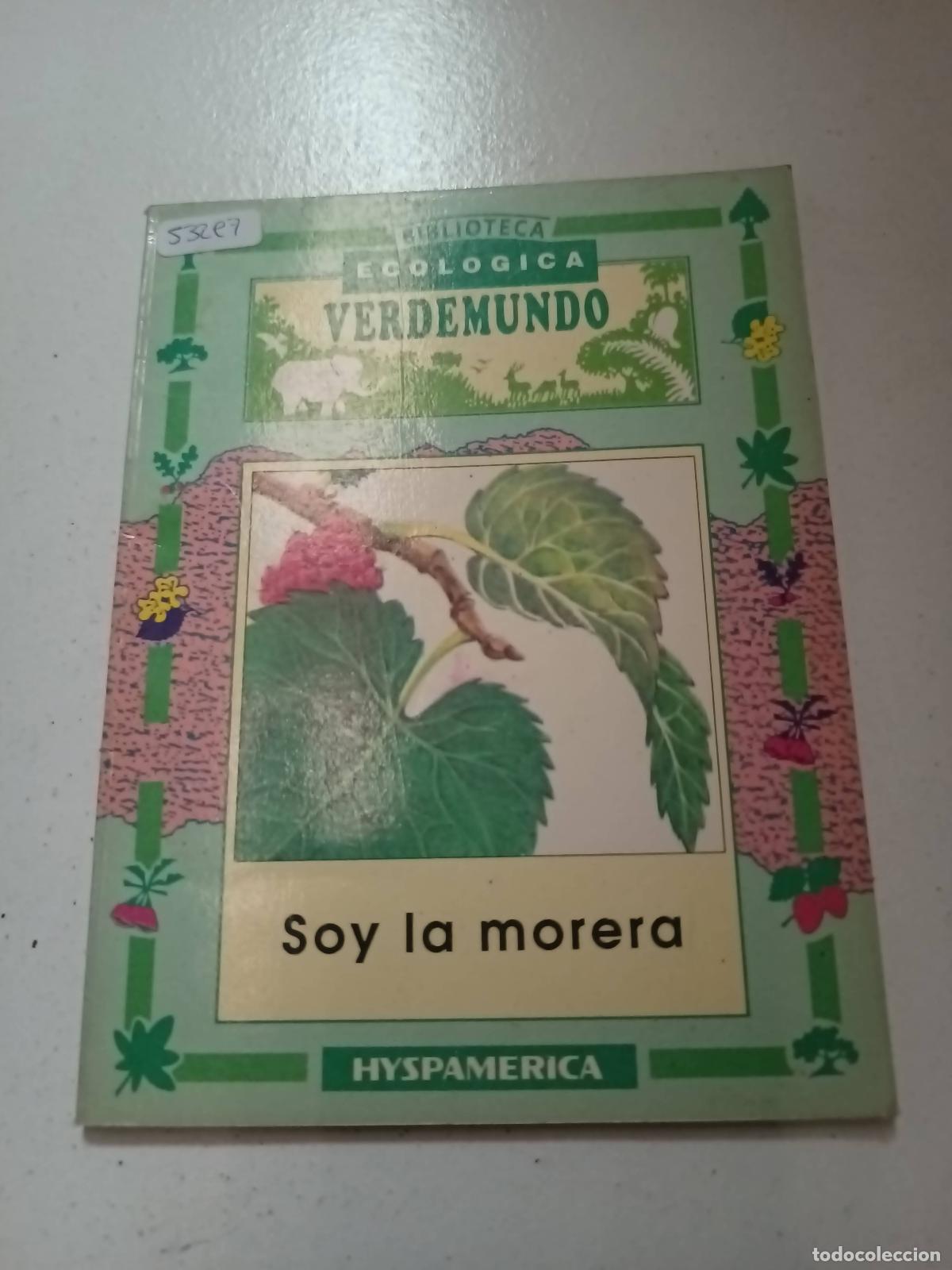 Libros: Soy la morera - Stella Maris - Foto 1