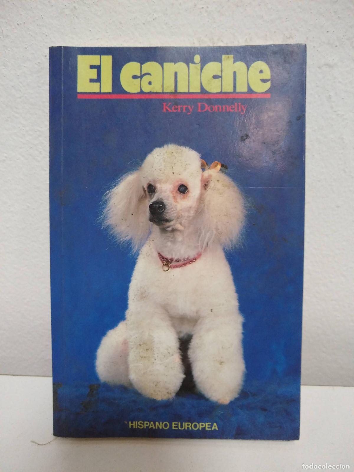 Libros: El caniche - Kerry Donnelly - Foto 1